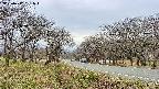 takano1-20250417131017.jpg