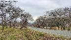 takano1-20250417132016.jpg