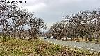 takano1-20250417133015.jpg