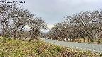 takano1-20250417134017.jpg
