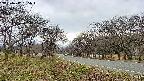 takano1-20250417135017.jpg