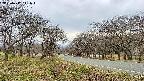 takano1-20250417141017.jpg