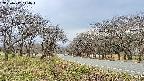 takano1-20250417144017.jpg