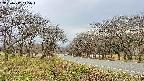 takano1-20250417145017.jpg