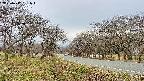 takano1-20250417151017.jpg