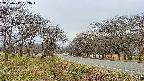 takano1-20250417153017.jpg