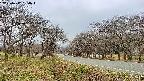 takano1-20250417160017.jpg