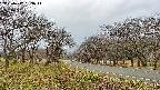 takano1-20250417163015.jpg