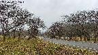 takano1-20250417165017.jpg