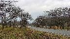 takano1-20250417171018.jpg