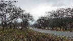 takano1-20250417174017.jpg