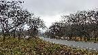 takano1-20250417175016.jpg