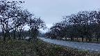 takano1-20250417182017.jpg
