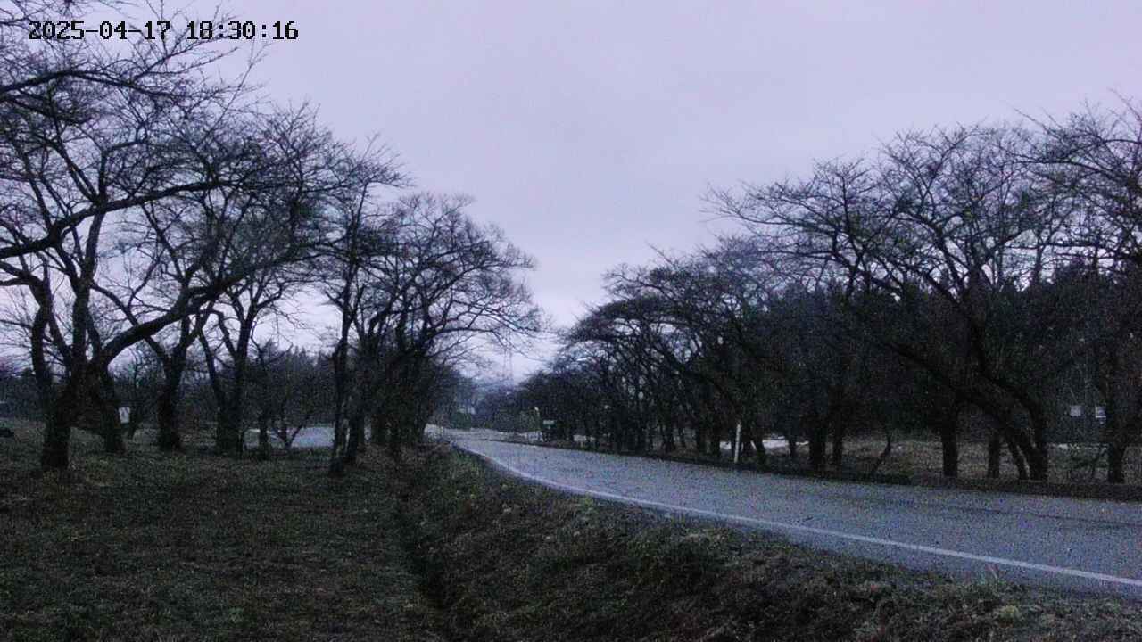 takano1-20250417183017.jpg