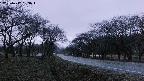 takano1-20250417183017.jpg