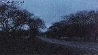 takano1-20250417184016.jpg