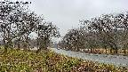 takano1-20250418054016.jpg