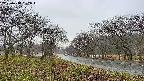 takano1-20250418062015.jpg