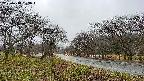 takano1-20250418063016.jpg