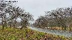takano1-20250418072017.jpg