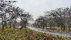 takano1-20250418073017.jpg
