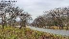 takano1-20250418102017.jpg