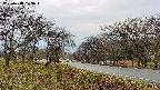 takano1-20250418103018.jpg