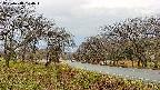 takano1-20250418104017.jpg