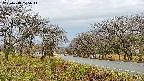 takano1-20250418105016.jpg