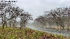 takano1-20250418113015.jpg