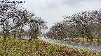 takano1-20250418114016.jpg