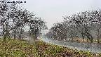 takano1-20250418115016.jpg
