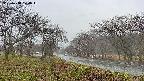 takano1-20250418124015.jpg