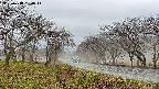 takano1-20250418130017.jpg