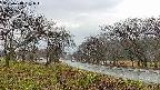 takano1-20250418131017.jpg