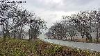 takano1-20250418133016.jpg