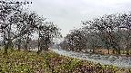 takano1-20250418161017.jpg
