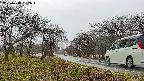 takano1-20250418162017.jpg