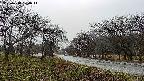 takano1-20250418170017.jpg