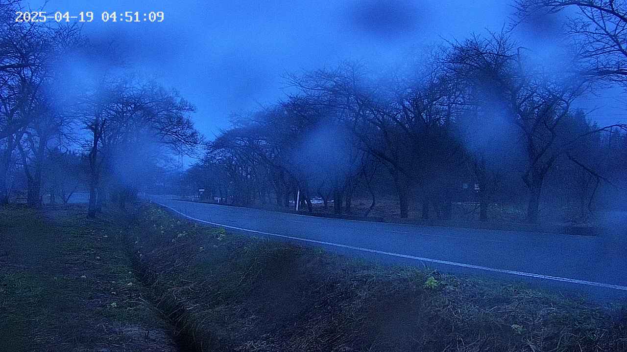 takano1-20250419045110.jpg