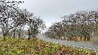 takano1-20250419062017.jpg