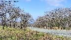 takano1-20250419093015.jpg