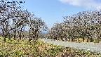takano1-20250419104017.jpg
