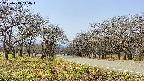 takano1-20250419114017.jpg