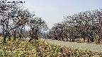 takano1-20250419133017.jpg