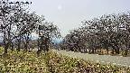 takano1-20250419140017.jpg