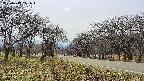 takano1-20250419141017.jpg