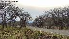 takano1-20250419153018.jpg