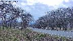 takano1-20250419182017.jpg