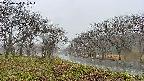 takano1-20250420061016.jpg